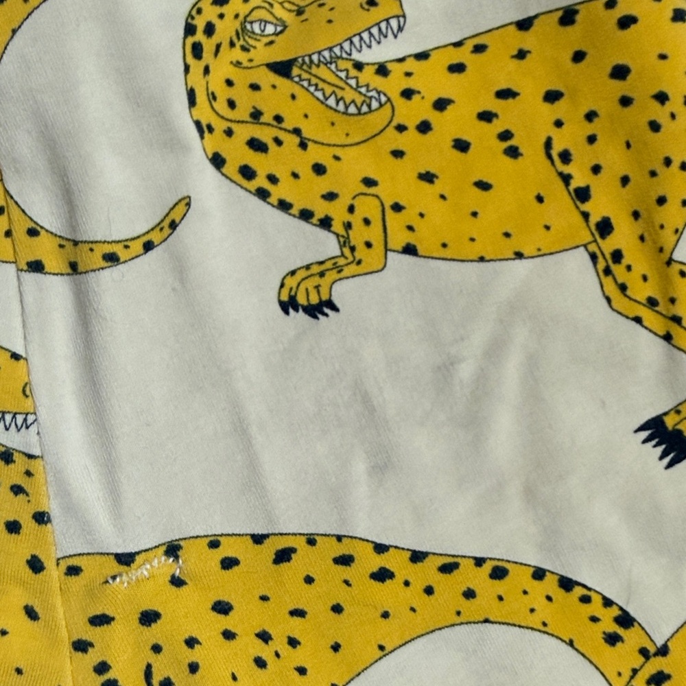 Mini Rodini Trex set - Picture 12 of 12